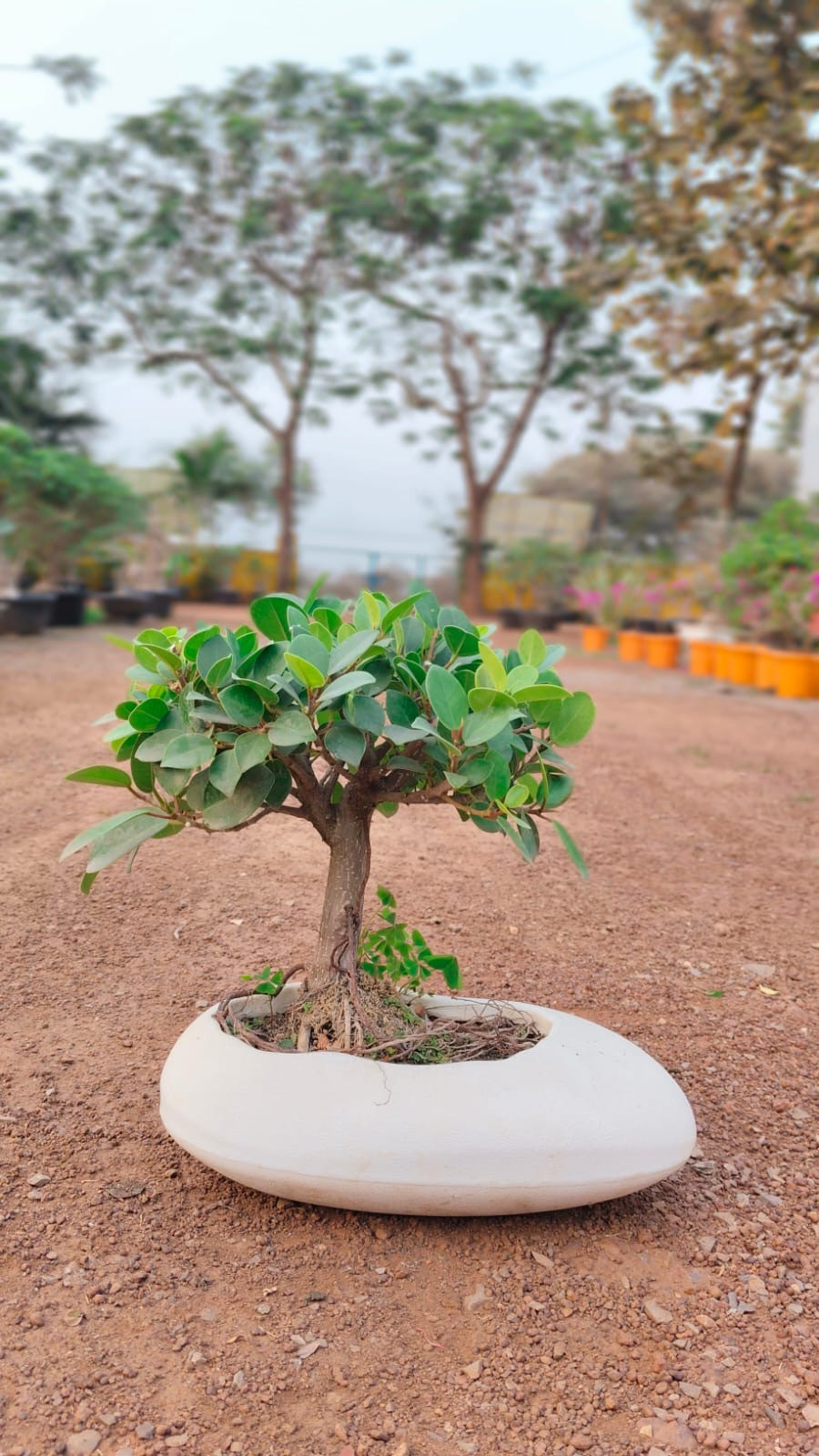 0661bb88-0fca-4baf-b82d-c0825aba9751