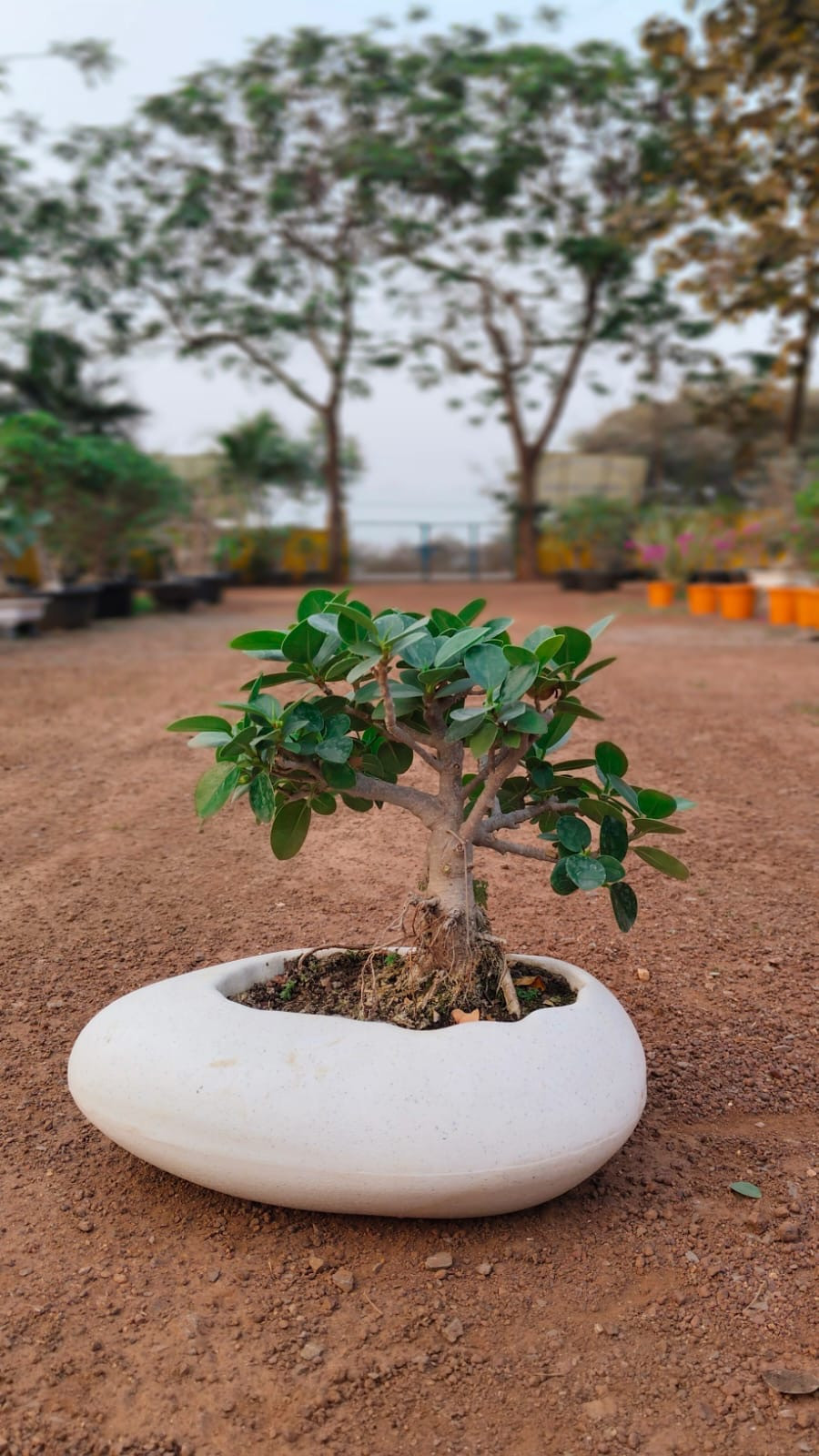 418a05f1-ee06-4b0c-9f55-333a816fc741