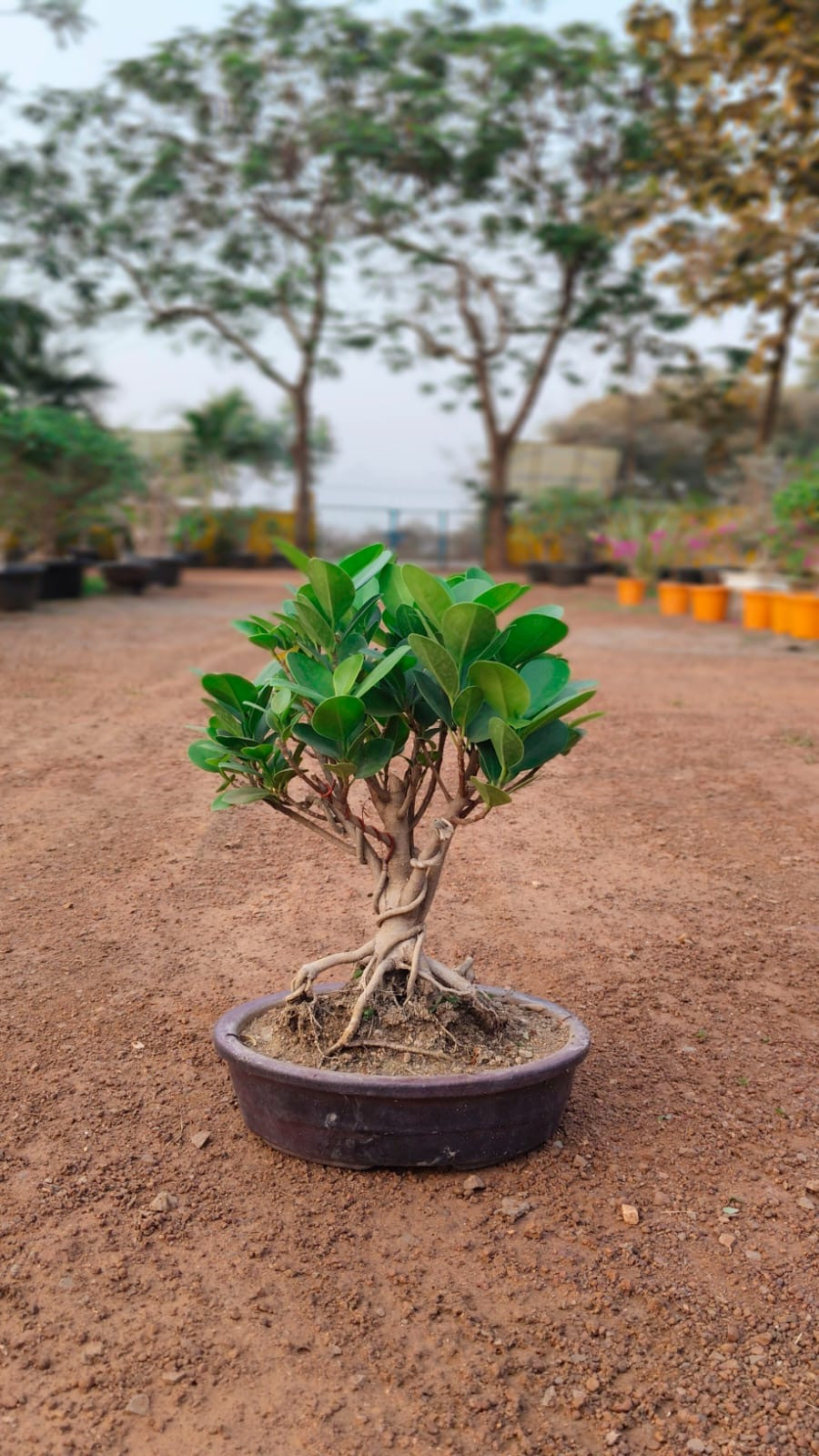 e0f43d04-ee7b-49f0-989d-225f82531900