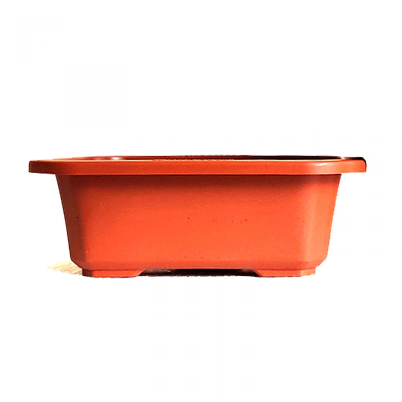 Bonsai Pots Bonsai Trays Training Pots Plastic Bonsai Pots Buy Bonsai Online in India