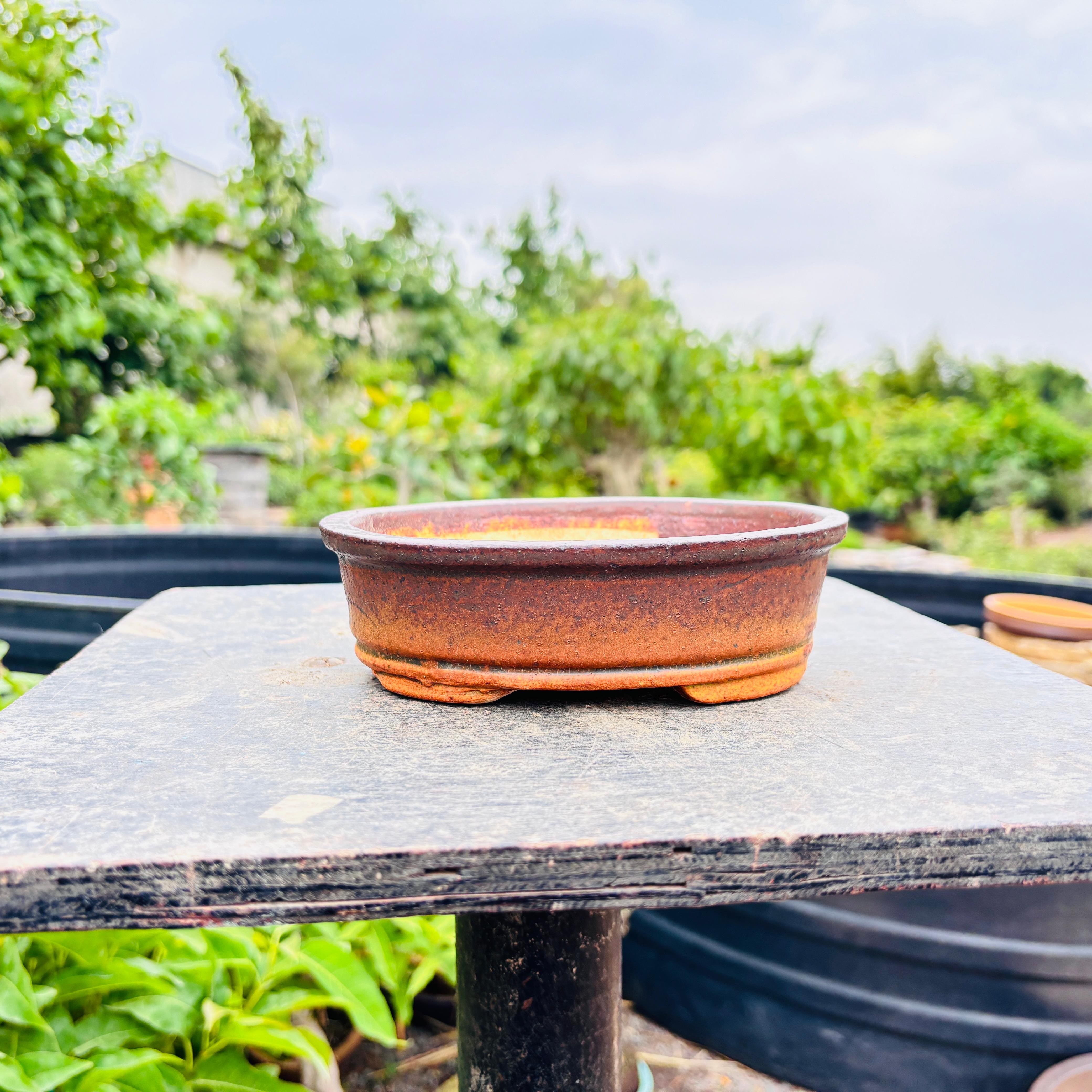 cf63028e-47c6-4ef9-bf2e-9dee79ad7656