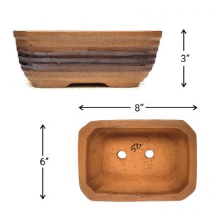 IMG_20220210_084829_D