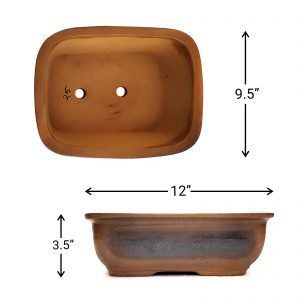 IMG_20220211_080557_D