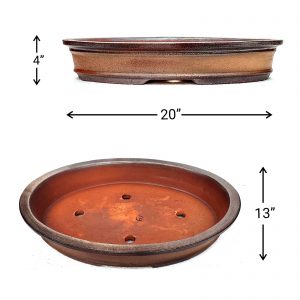 IMG_20220211_083622_D