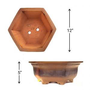 IMG_20220211_080836_D