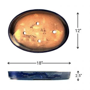 IMG_20220211_080958_D