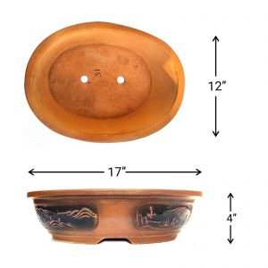 IMG_20220211_081207_D