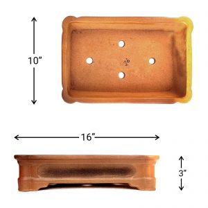 IMG_20220211_081236_D