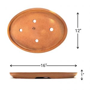 IMG_20220211_081315_D