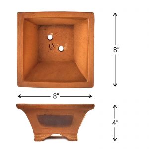 IMG_20220211_081655_D