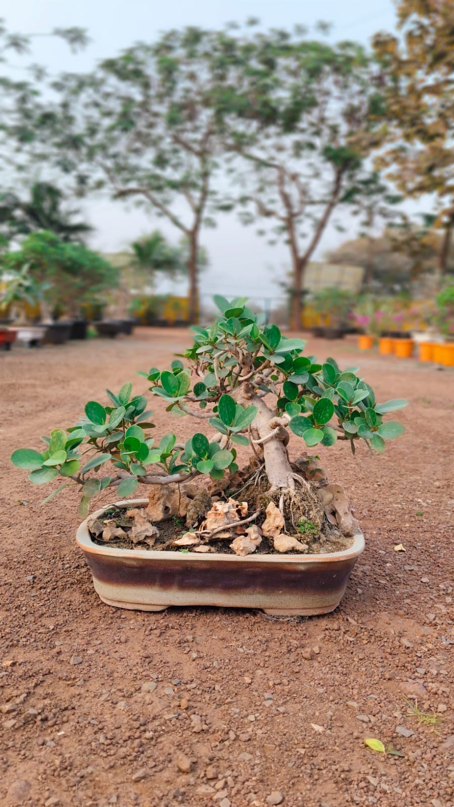 c2ed1010-d76a-439b-914a-f954cb19c77a