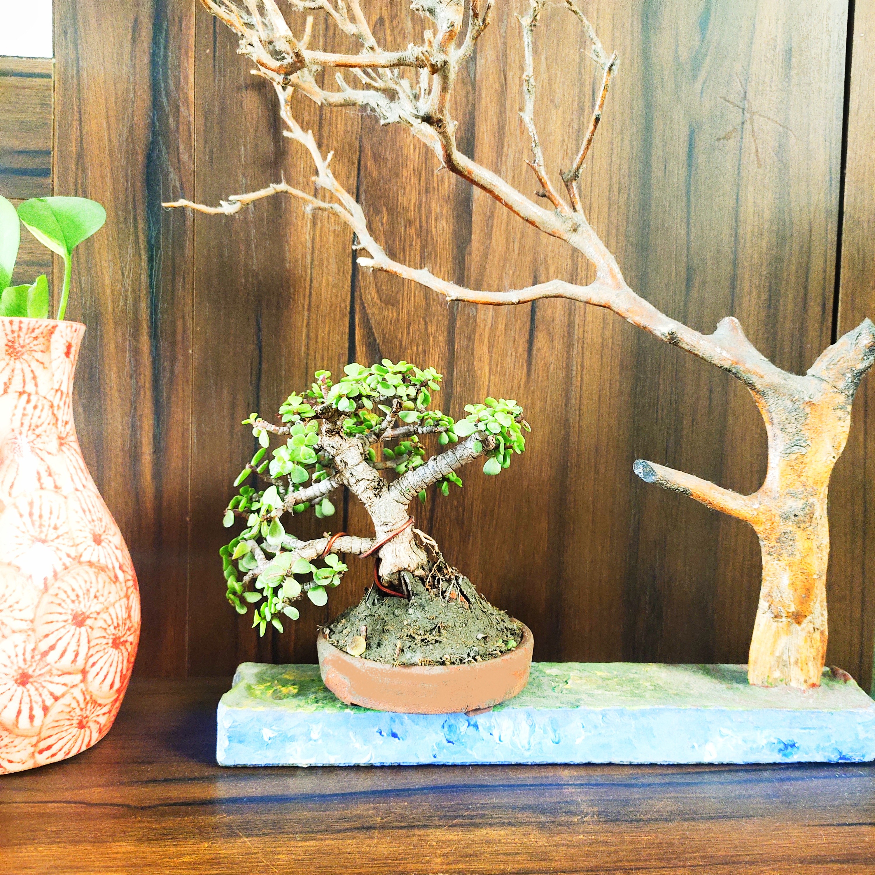 IMG_20231010_100018 (1)