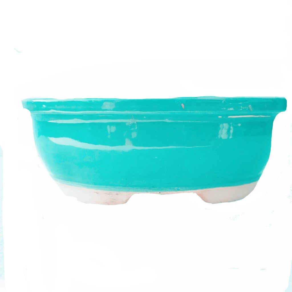 Handmade Bonsai Trays Small Size Bonsai Pots Oval Bonsai Pots Cyan Bonsai Tray Buy