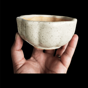 4 Inches Bonsai Pot Flower Shaped Off-White Color