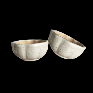 4 Inches Bonsai Pot Flower Shaped Off-White Color (Set of 2)