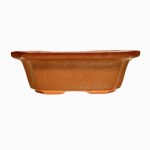 5 Inches Bonsai Pot Rectangle Shape Brown