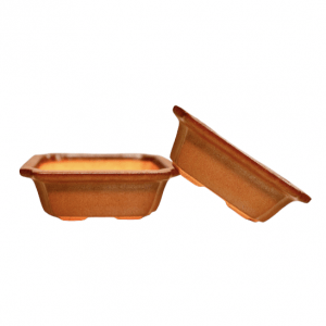 5 Inches Bonsai Pot Rectangle Shape Brown (Set of 2)