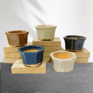 Set of 5 Handmade Artistic Mini Bonsai Pots (1.5 Inches)
