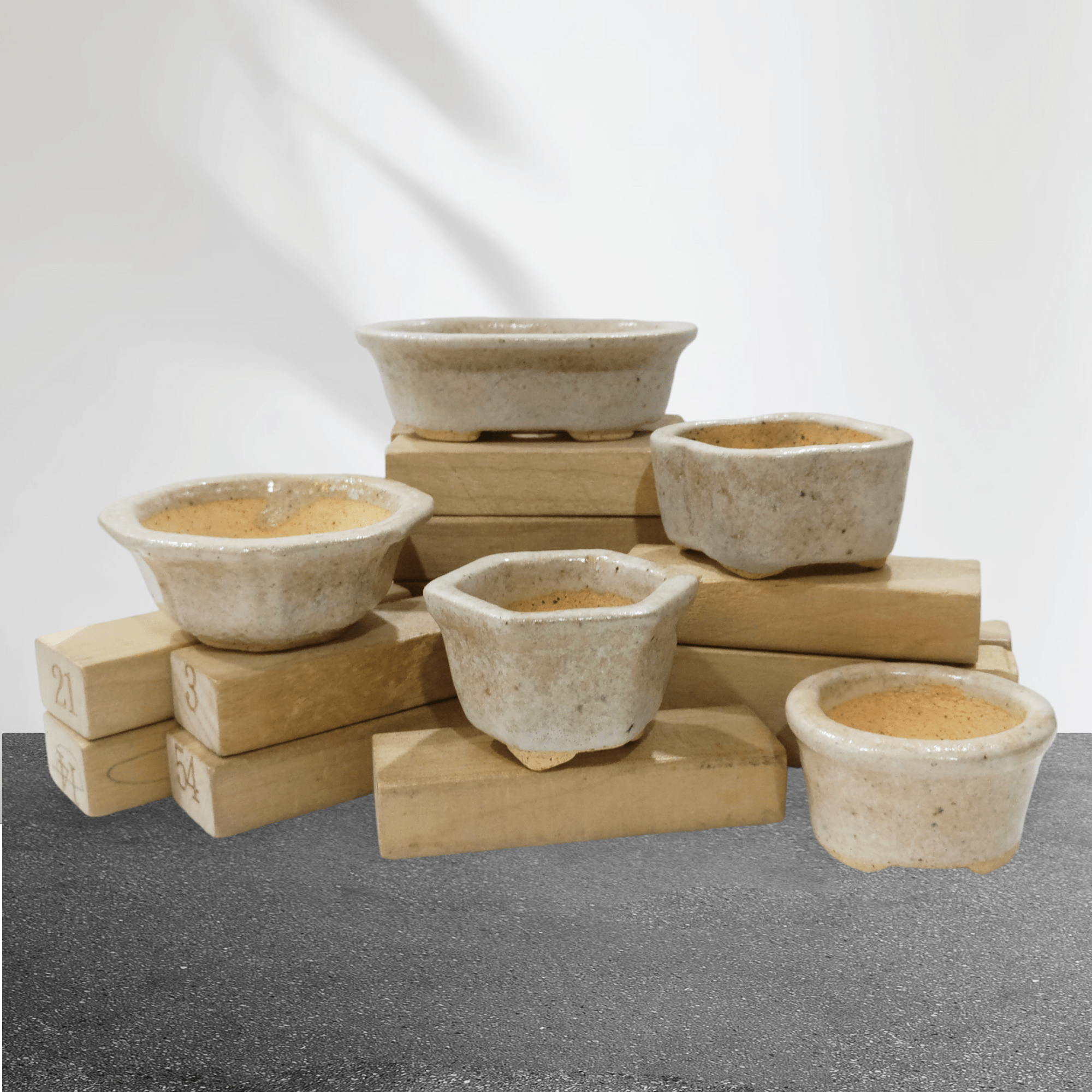 IMG_20240623_081306 (1)