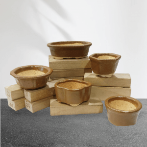 Set of 5 Handmade Artistic Mini Bonsai Pots in Brown Color (1 & 2 Inches)