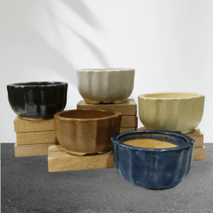 Set of 5 Handmade Artistic Mini Bonsai Pots (2 Inches)
