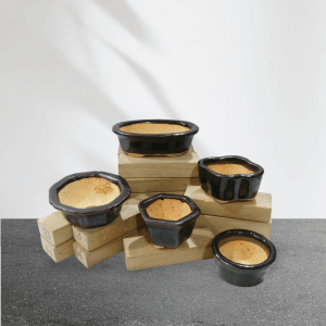 Set of 5 Handmade Artistic Mini Bonsai Pots in Dark Maroon Color (1 & 2 Inches)