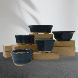 Set of 5 Handmade Artistic Mini Bonsai Pots in Blue Color (1 & 2 Inches)