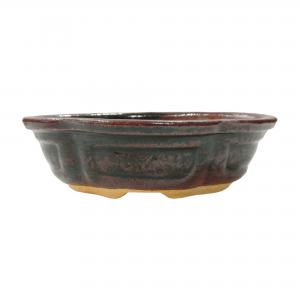 6 Inches Small Ceramic Bonsai Tray in Oval Shape Dark-Maroon Color
