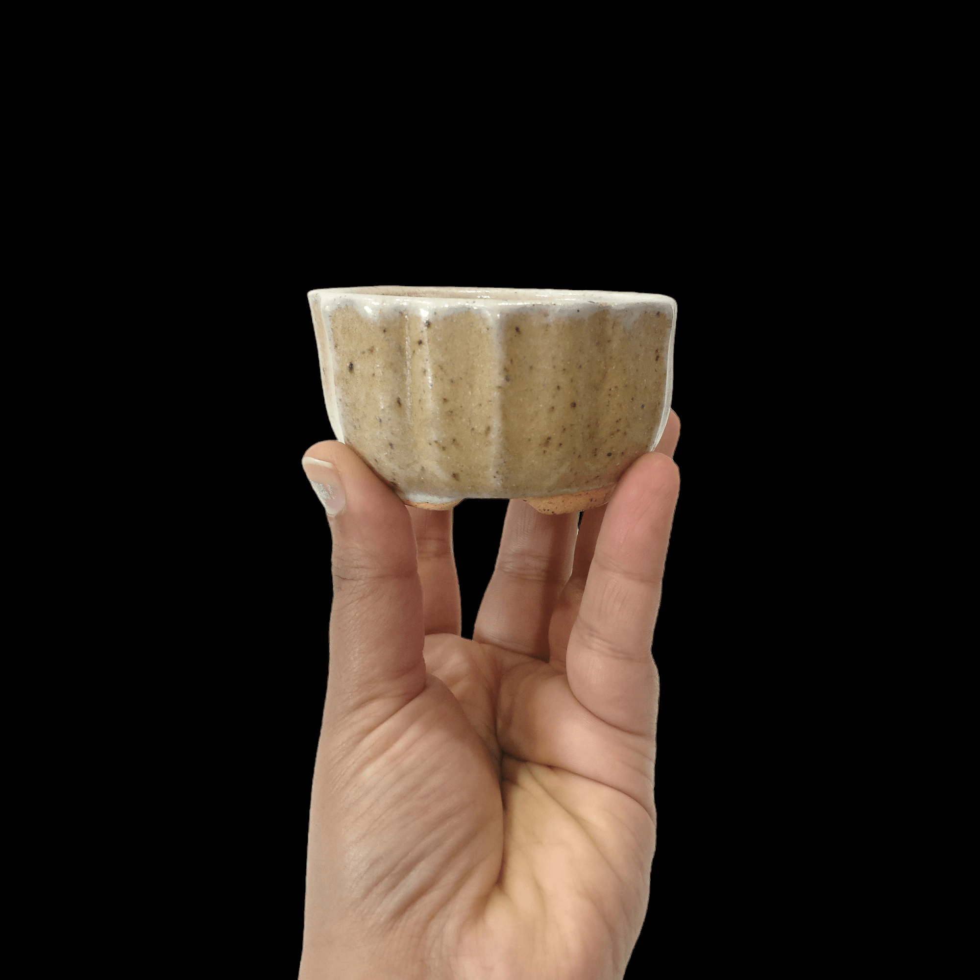 Photoroom-20240625_205454