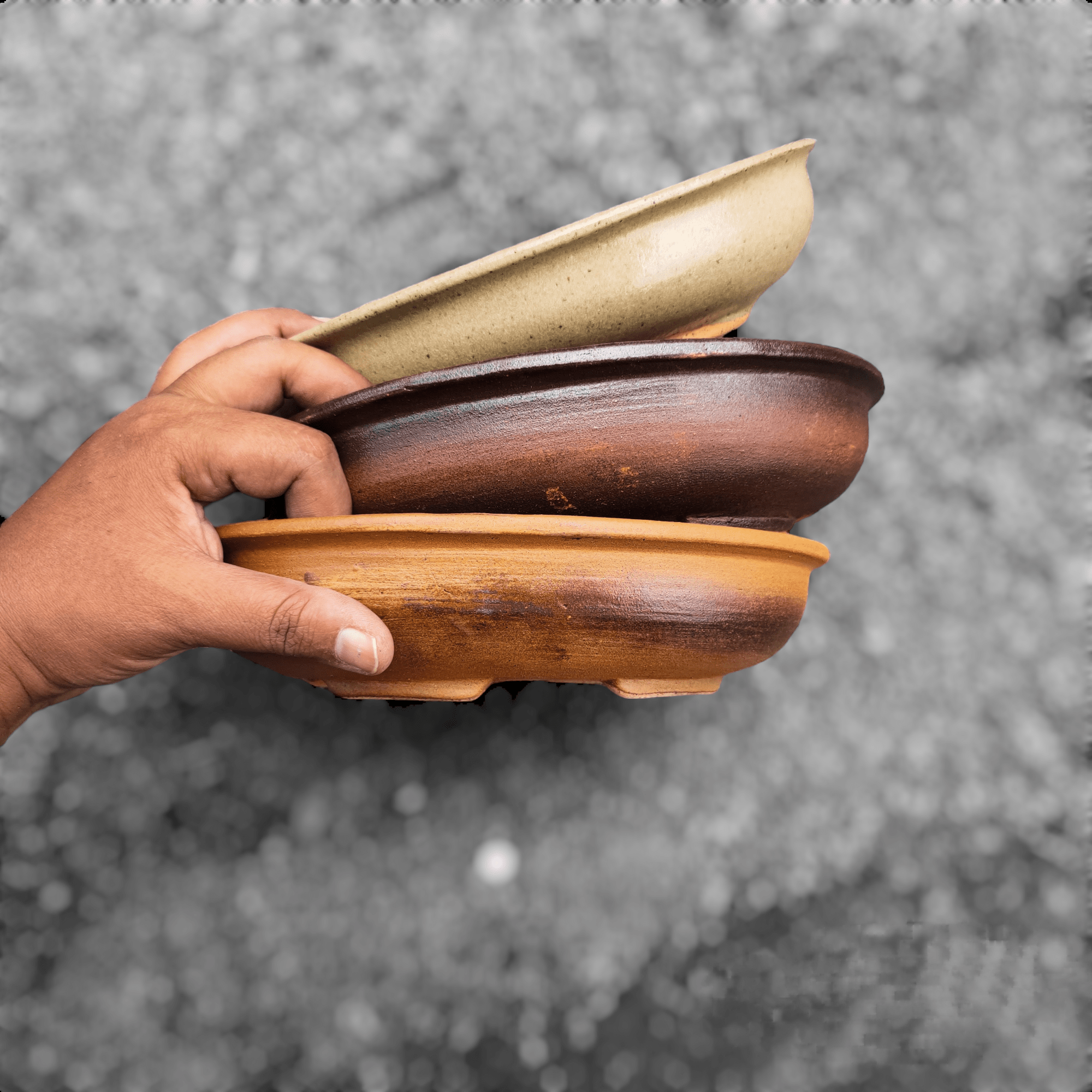 IMG_20240705_135455 (1)