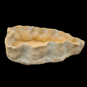 Handmade Asymmetric Bonsai Ceramic Pot 8 Inches Ivory Shade