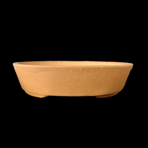 10.5 Inches Oval Shaped Shallow Bonsai Tray In Light Brown Color