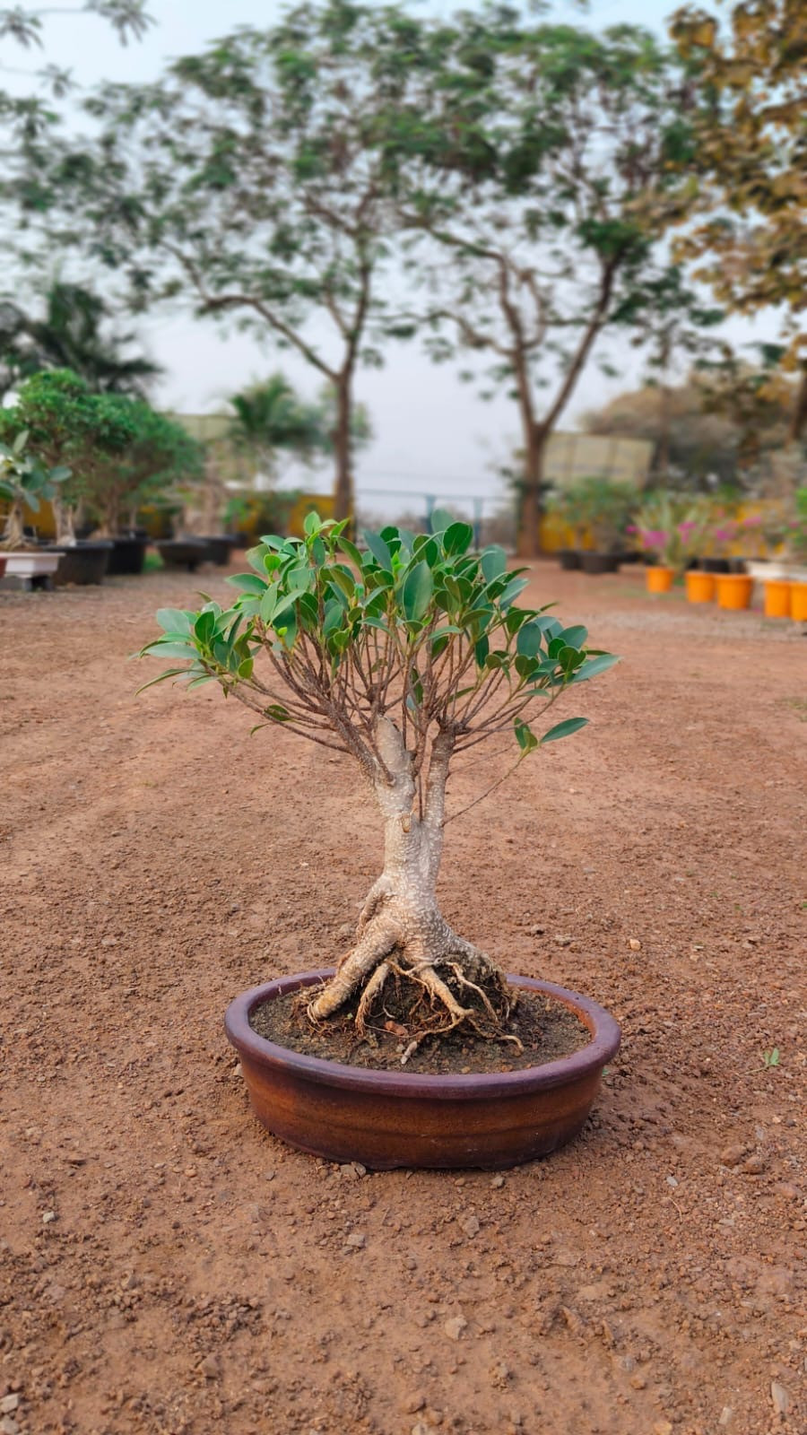 240a91fc-9b99-4ed3-ad1b-c39f361dbac1