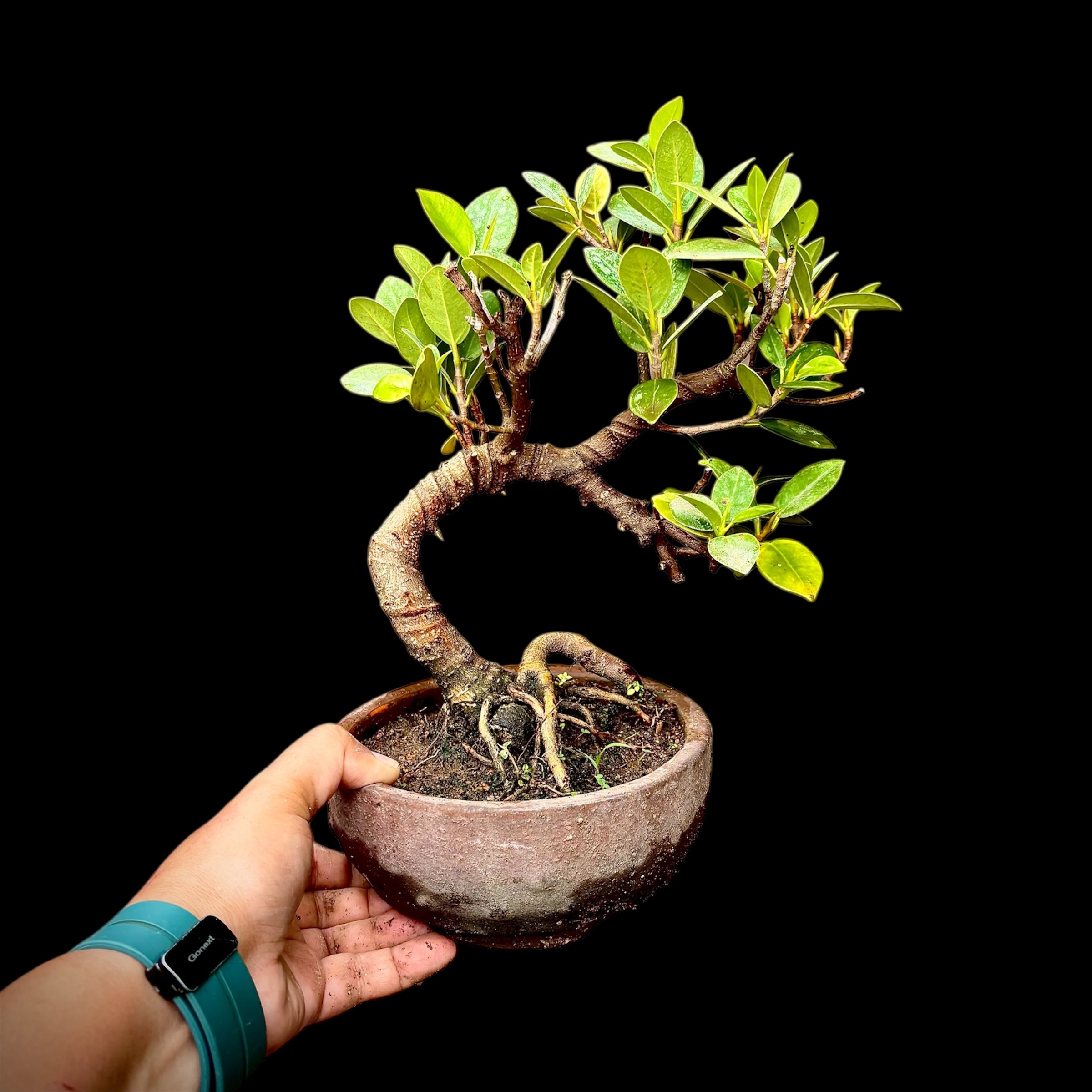 Photoroom_20250524_200932 (1)