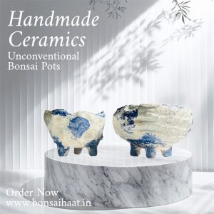 Handmade Artistic Bonsai Pots made of Japanese Clay in Blue Colour (Set of 2)