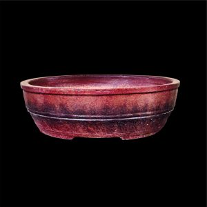 14 inches Big Size Bonsai Pot in Oval Shape Brown Textured