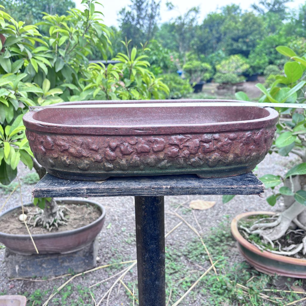 StoneCraft  16-Inch Large Rectangular Bonsai Pot | Stone-Textured Ceramic  Planter for Big Bonsai Trees