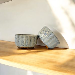 Blossom Blue – Set of 2 Mini Round Bonsai Pots | 2.5" Light Blue with Floral Texture | Cute Ceramic Planters