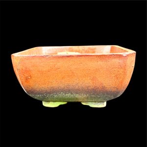 EarthenRoot™ 9.5-Inch Square Ceramic Bonsai Pot – Elegant Container for Formal Bonsai Styling