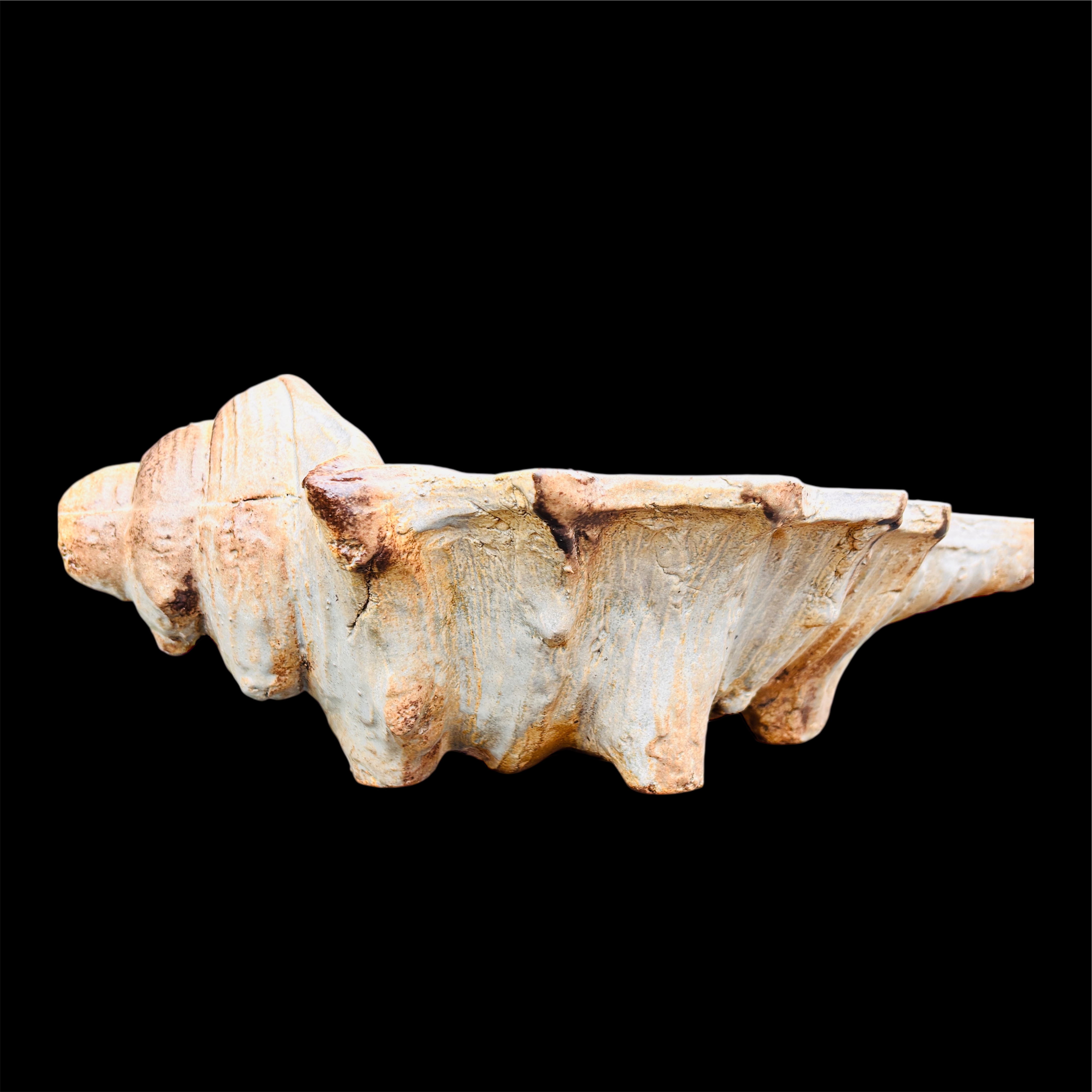 Photoroom_20250703_180049