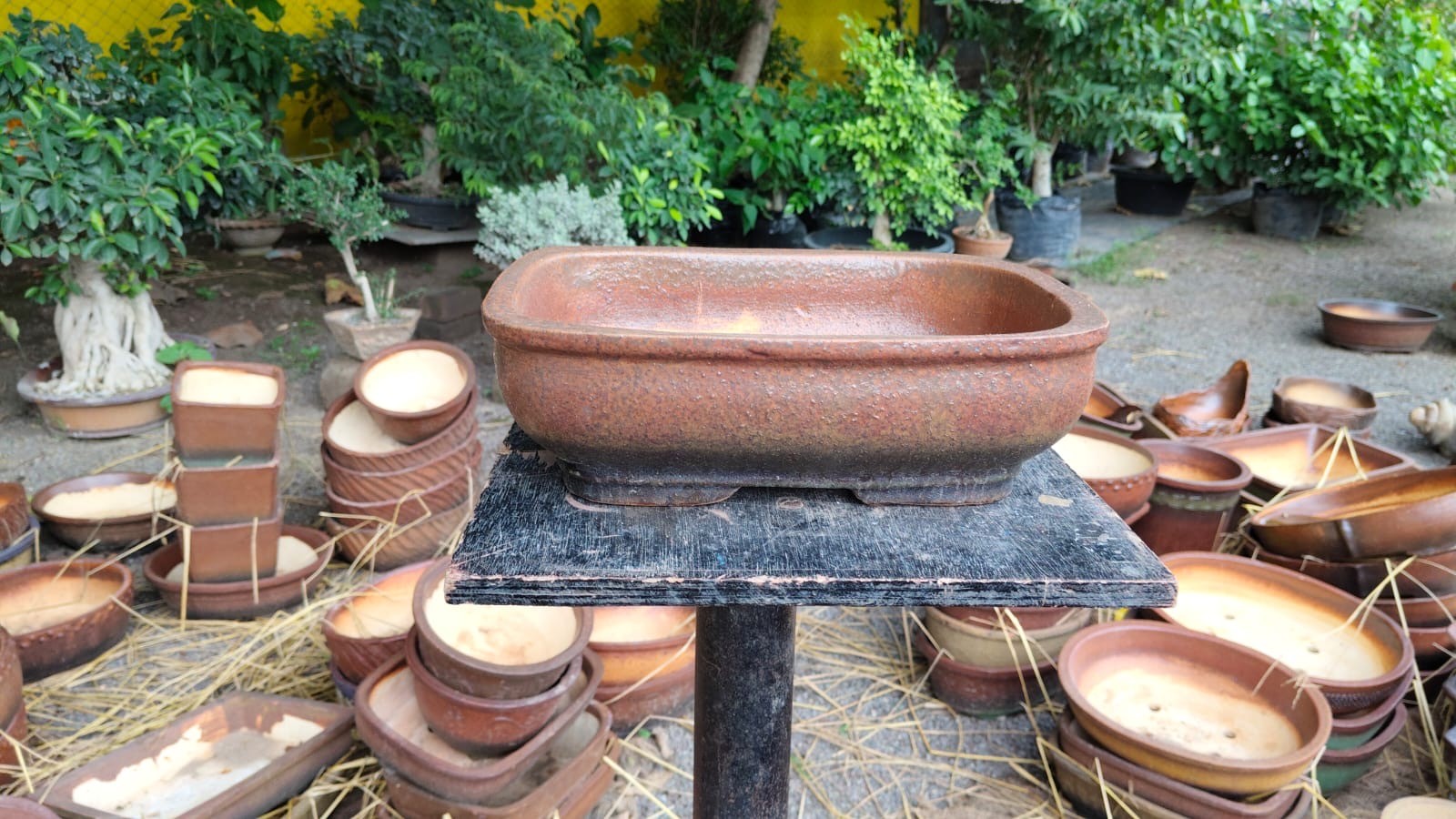 e0ca8436-d2c1-4ff4-b56a-c2165f59c48c