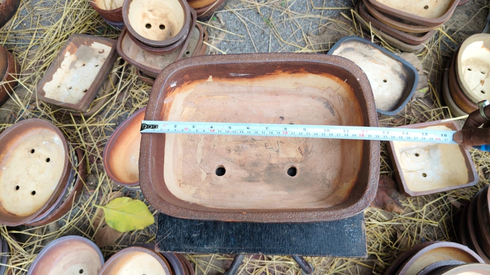 ff5a7667-312b-4bb4-bede-0114ba8ad20f