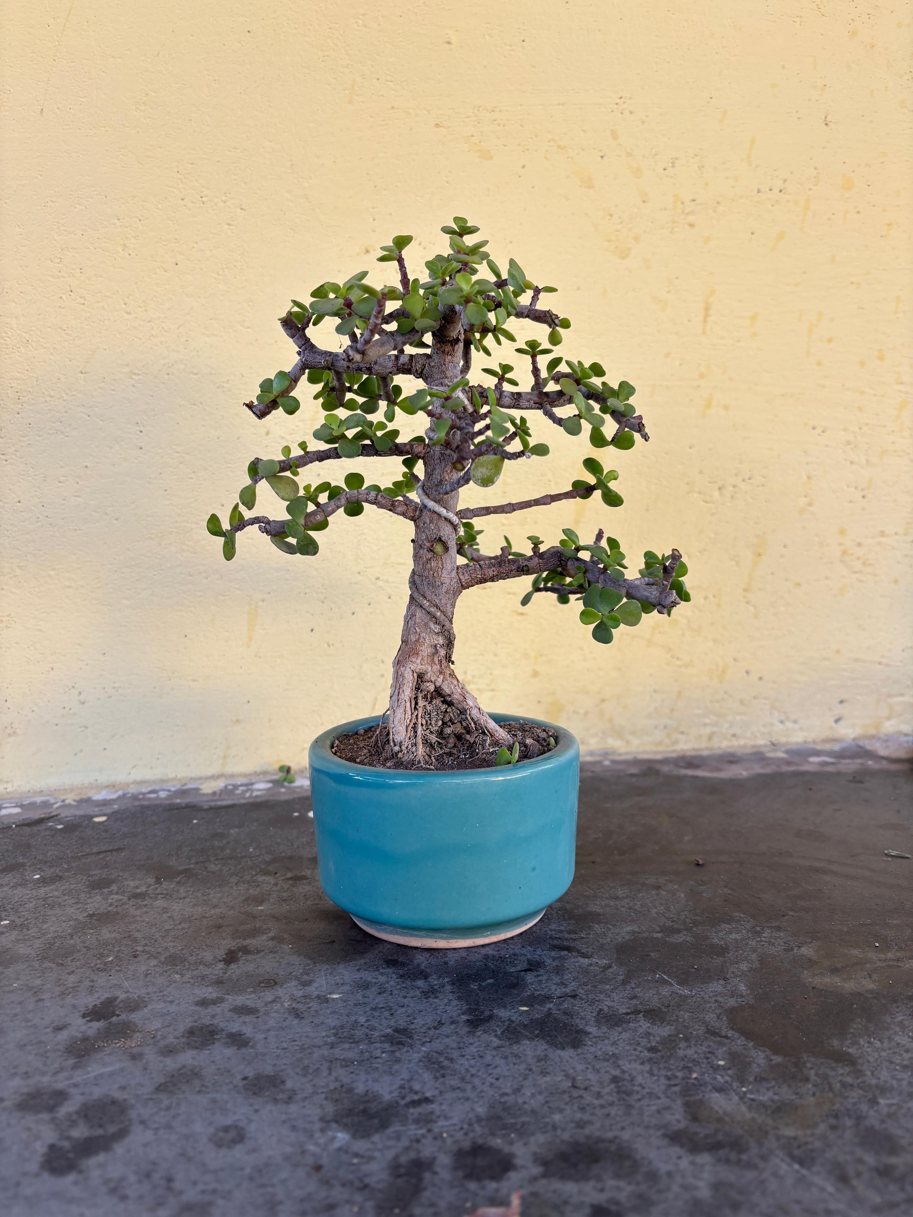 PHOTO-2026-02-11-16-53-36