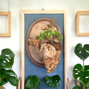 Wall Hanging Jade Bonsai – Vertical Penjing Natural Scenery