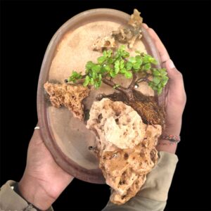 Photoroom_20260414_174428 (1)